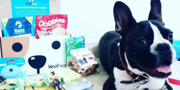 La cajita que sorprende a perritos y ayuda a los productores mexicanos