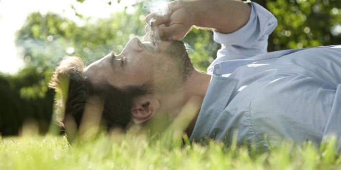 Will New York or Illinois be Next to Legalize Recreational Marijuana?