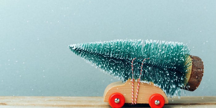 Prepara un negocio de reciclaje de árboles de Navidad