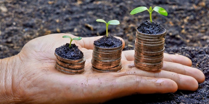 Emprendedores: superhéroes del crecimiento económico en América Latina