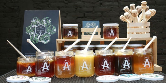 La emprendedora que quiere salvar a las abejas de México