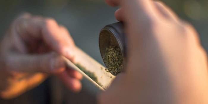 Marijuana Legalization Advocates Look to 2020 for Referendum in Florida