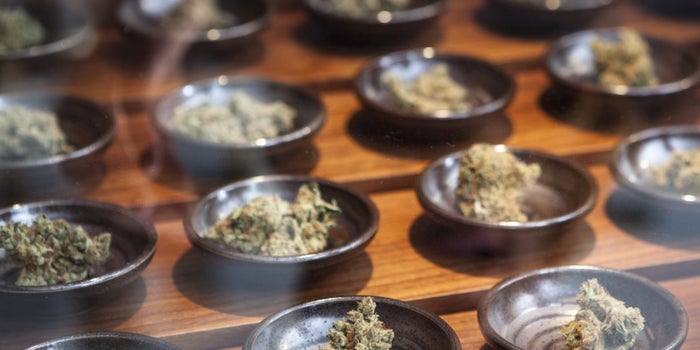Cannabis Industry Sees Blockchain as Key to Growth While Complying With Regulations
