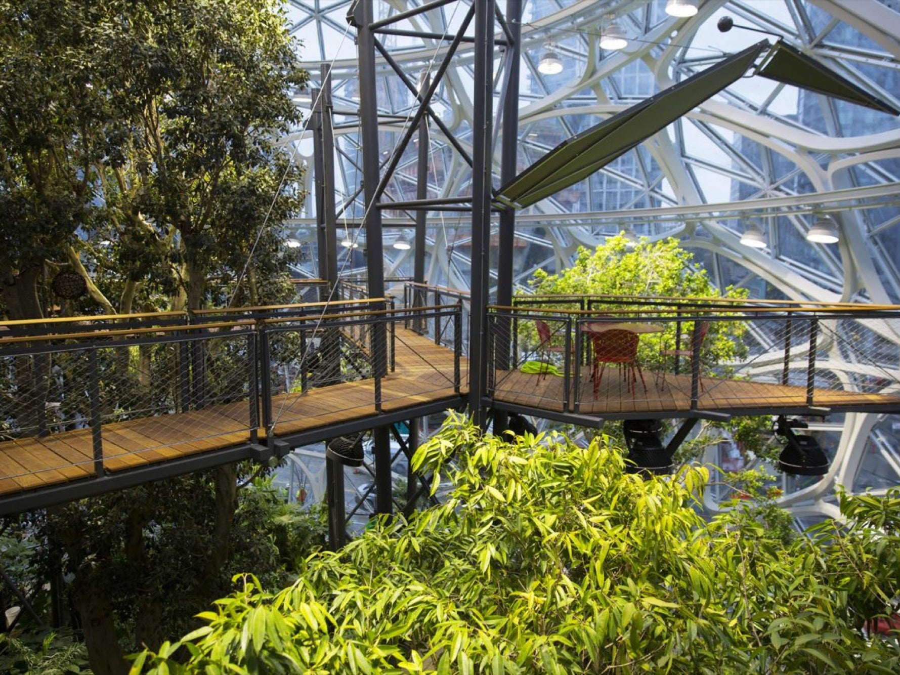 Take a Look Inside Amazon's New Rainforest Office Space