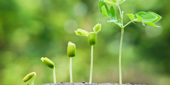 De startup a scaleup: 3 consejos para lograrlo