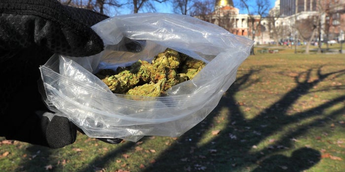 Gimme Shelter: Massachusetts Lawmakers Push to Become a Marijuana Sanctuary State