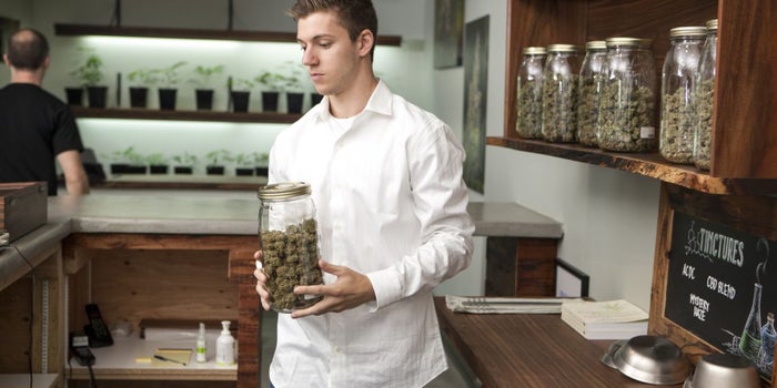 Cannabis Industry Likely to Employ More Than 400,000 By 2021, Study Projects