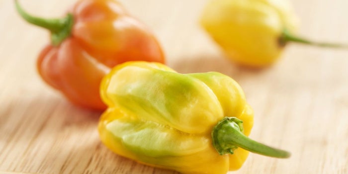 Agrocoin, la criptomoneda para invertir en chiles habaneros