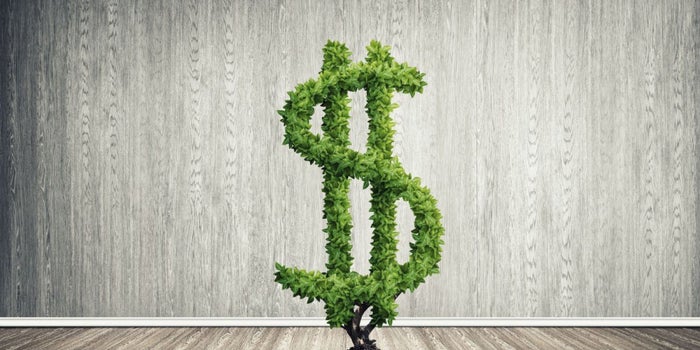 Guía rápida para atraer crédito o financiamiento a tu negocio