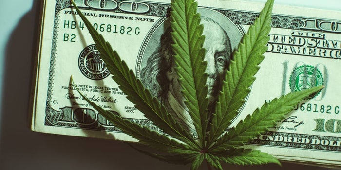 California Studies Viability of a Public Bank for Marijuana Businesses