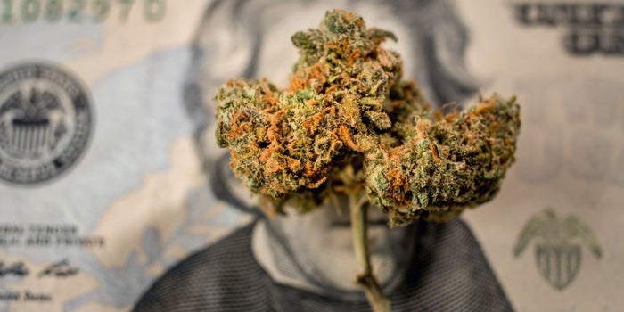 Investment In Marijuana Industry Has Grown 600 Percent so Far in 2018