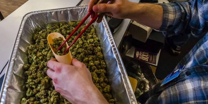 A Study of One Colorado County Finds Legal Marijuana has More Benefits Than Problems