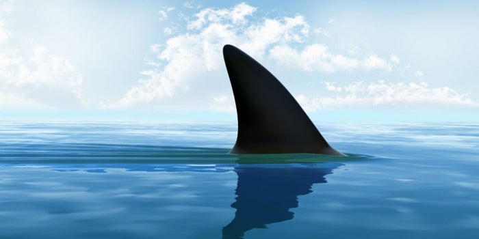 La app que transforma a tus vendedores en tiburones