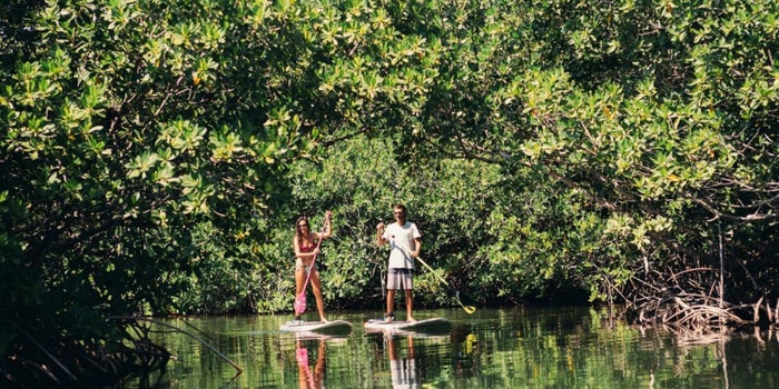 ¡No todo es CDMX! Airbnb lleva sus experiencias al Caribe
