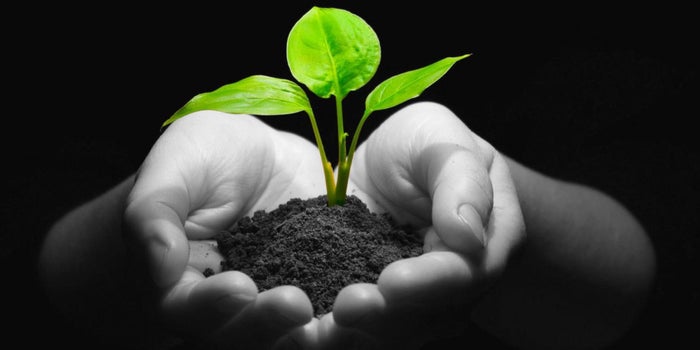 Participa en los Premios Latinoamérica Verde 2018