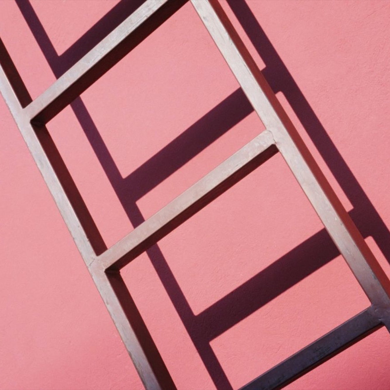 You're Thinking About the Career Ladder All Wrong