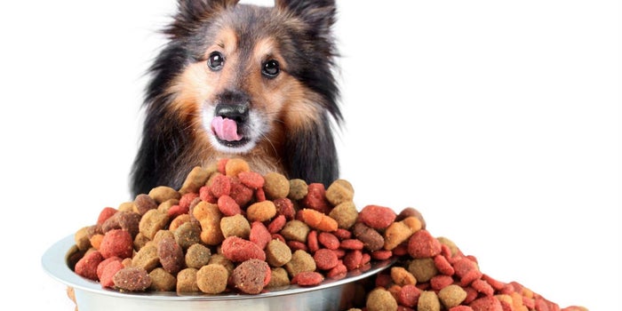 Amazon 'le da una mordida' al mercado de la comida para perro