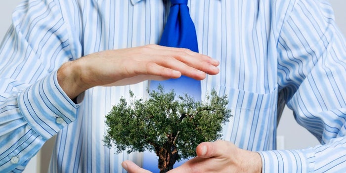 Entregan reconocimiento a emprendedores forestales