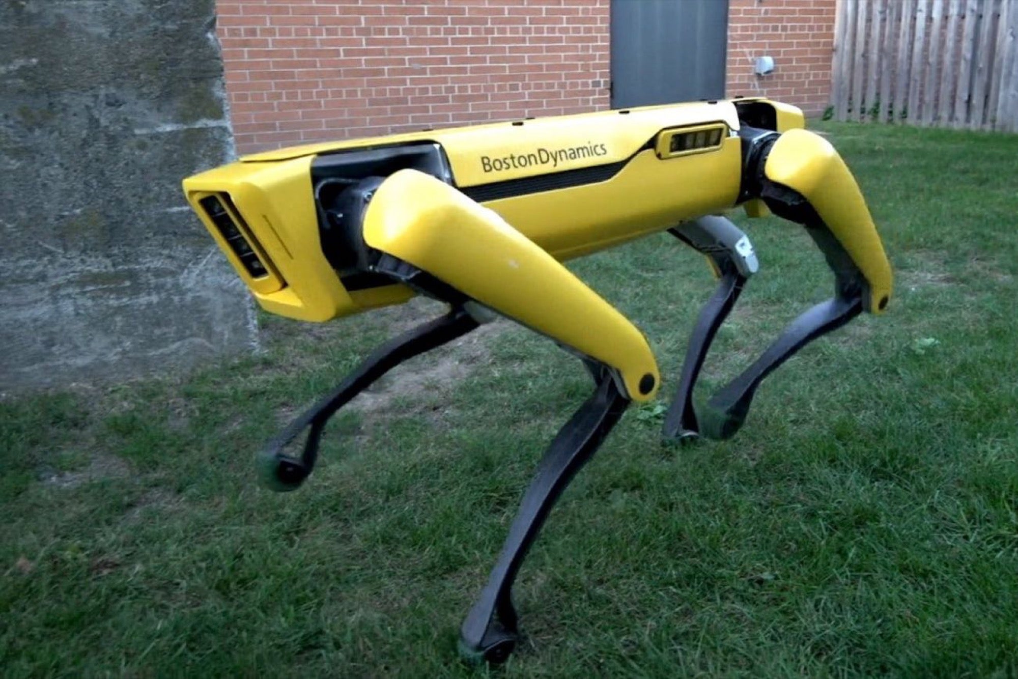 how-much-is-that-robo-doggy-in-the-window