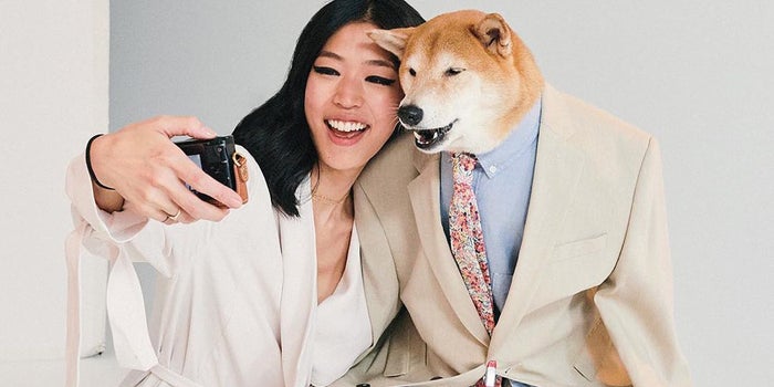 This Famous Dog Is A Posh Style Icon And He Probably