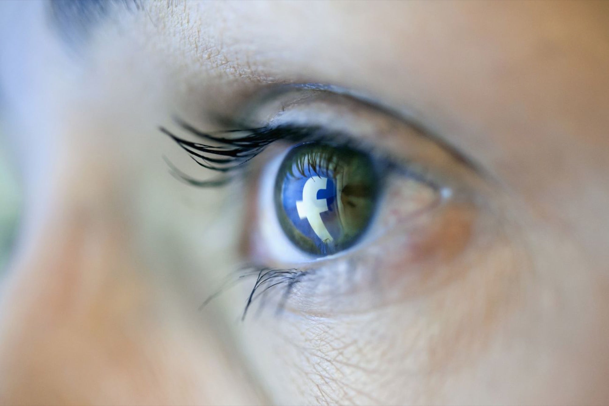 What Facebook and Twitter Are Doing to Remove Bad Content Entrepreneur