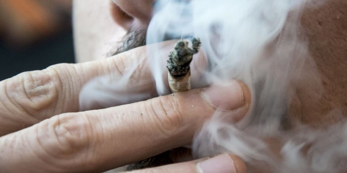 Marijuana Goes Mainstream: 63 Percent of American Voters Say It Should Be Legal