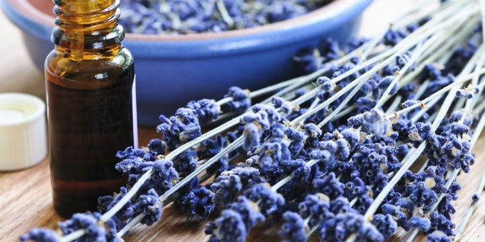 Atrévete a probar la aromaterapia para ser más productivo