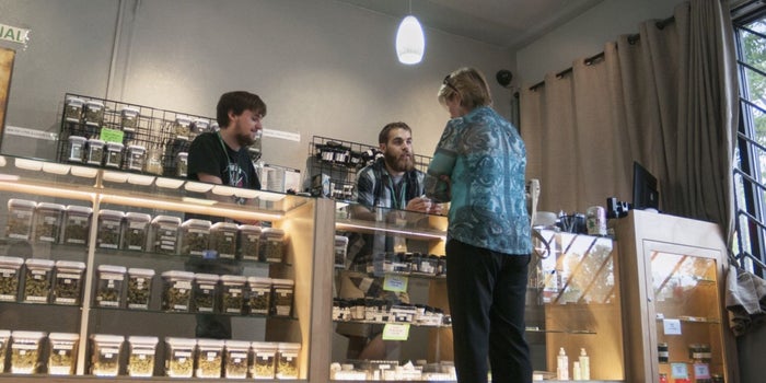 5 Things I Learned Starting a Business in the Cannabis Industry