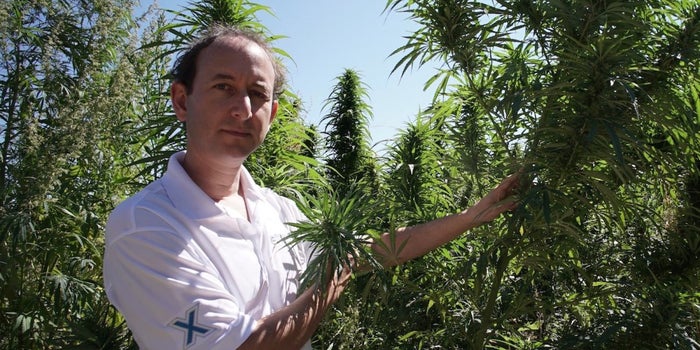 Is Hemp a Superfood? This Enterpreneur Bets His Business On It