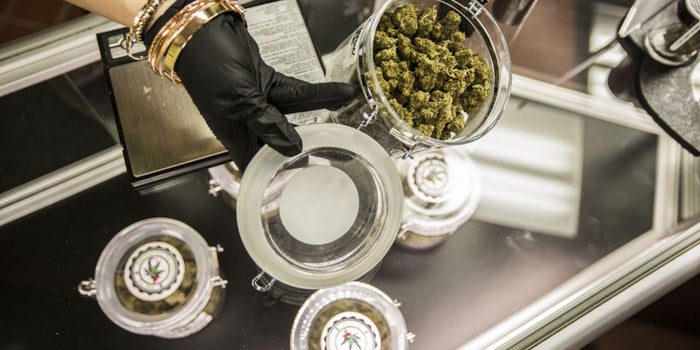 How to Scale Your Cannabis Business in 4 Steps