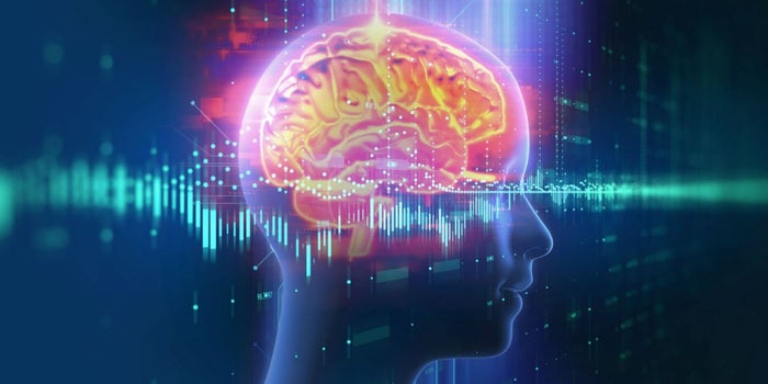 Los cimientos intelectuales de un buen negocio