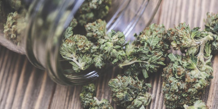 6 Simple Digital Marketing Strategies to Jumpstart Your Marijuana Business
