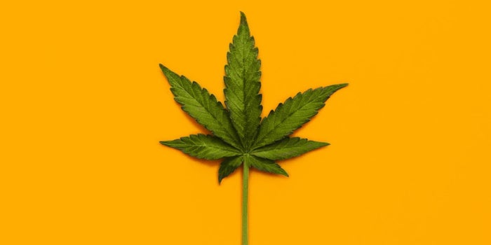 Welcome to Green Entrepreneur