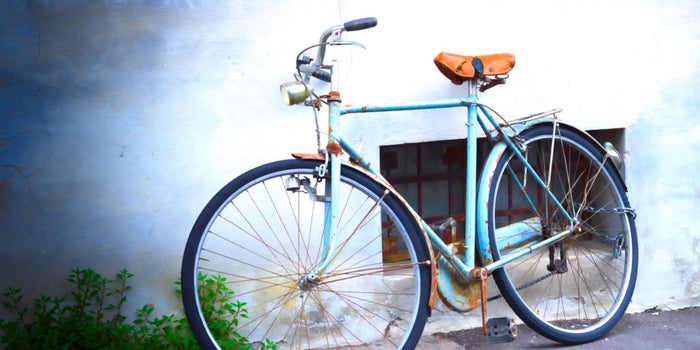 What Every Entrepreneur Can Learn From the Bicycle