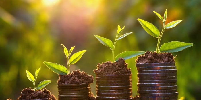 Tus activos intangibles: el núcleo de crecimiento de tu negocio