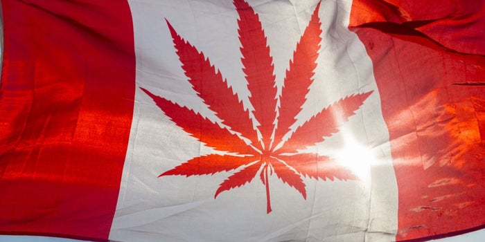 How Canada's Marijuana Legalization Changes the Game