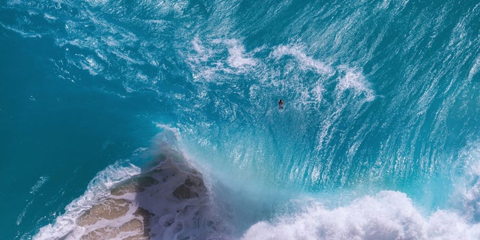 6 Startups That Are Helping to Save the Oceans While Still Making Money