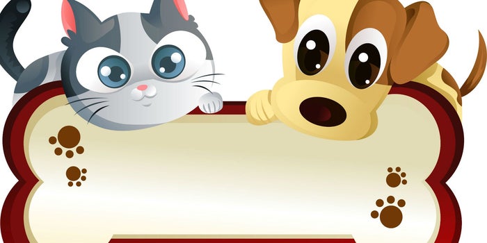 Infografía: Perros Vs gatos, ¿qué cuesta más?