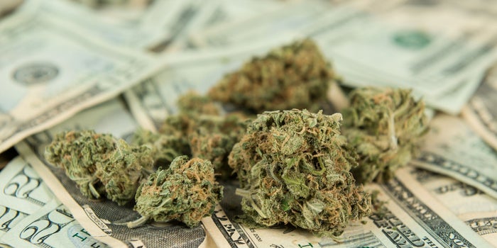 5 Things You Absolutely Need to Know About Cannabis Taxes