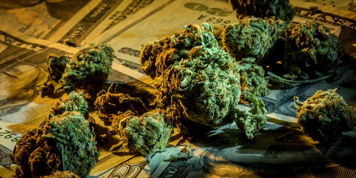 Cannabis Companies Likely to Raise More in 2018 Than the Last 3 Years Combined