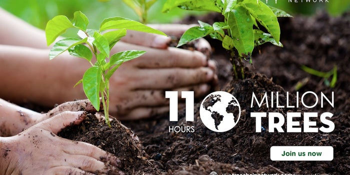 TreeChain Network - Transforming Global Tree Cover through Blockchain Technology