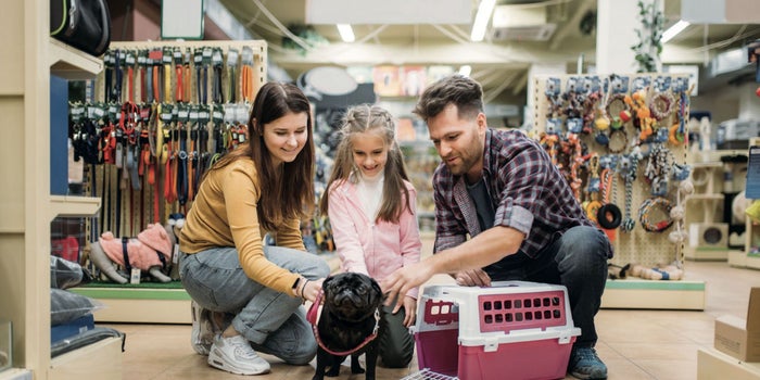 Lo que necesitas saber para abrir una tienda 'todo para tu perro'