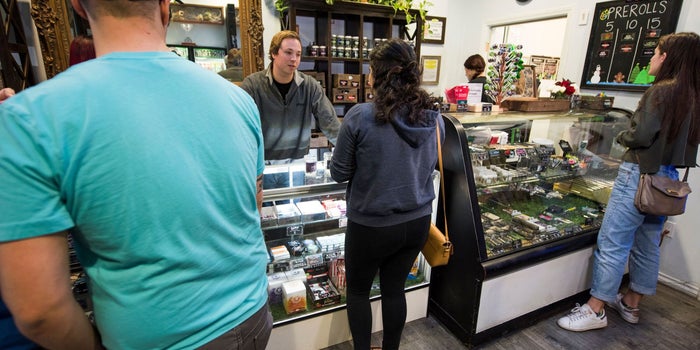 Navigating the Top 3 Post-Startup Challenges for Cannabis Businesses