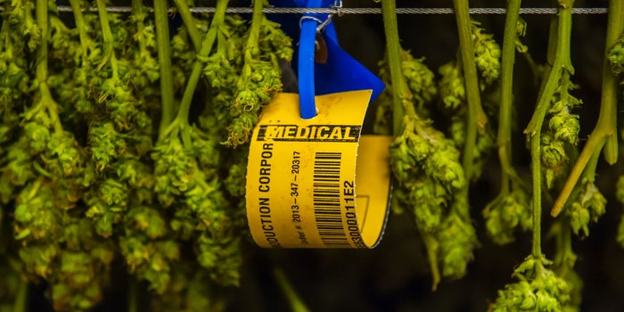 Michigan Is Unlikely to Have Nearly Enough Medical Marijuana Dispensaries for Its Huge Market