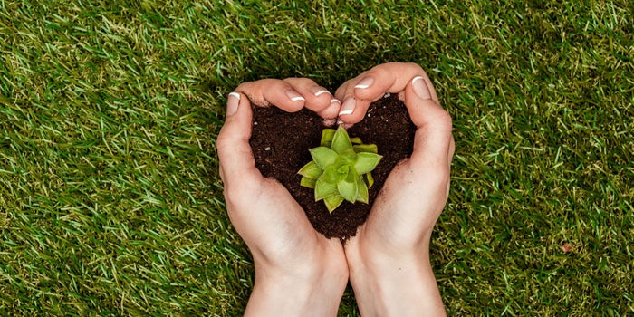 ¿Tienes un negocio que quiere cambiar al mundo? Endeavor te está buscando