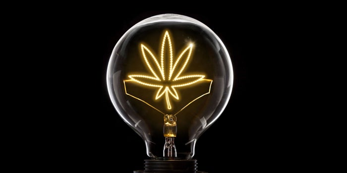 The Evolving Cannabis Market Offers Limitless Opportunities