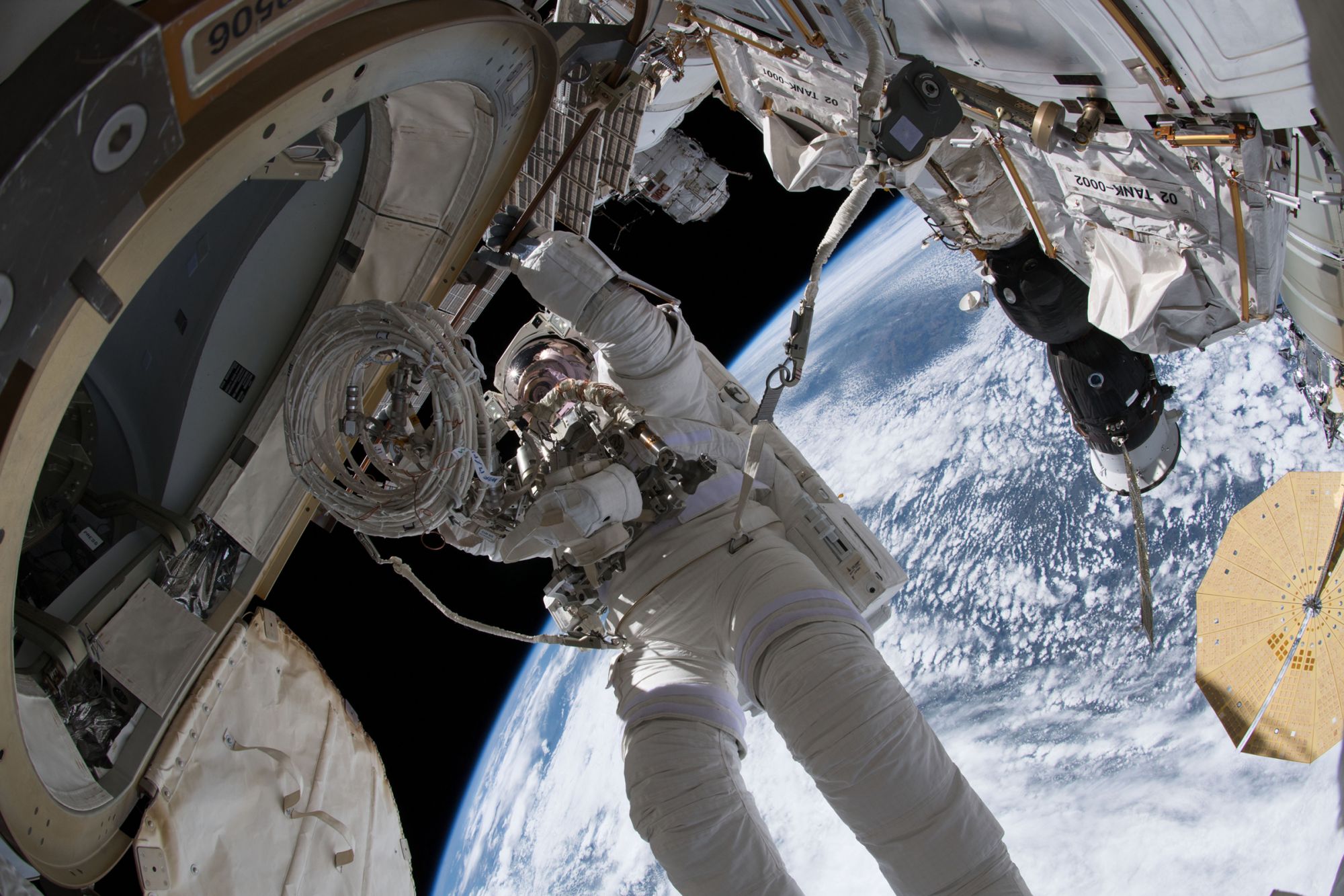 What Military Service and NASA Can Teach About the Value of Teams Over ...