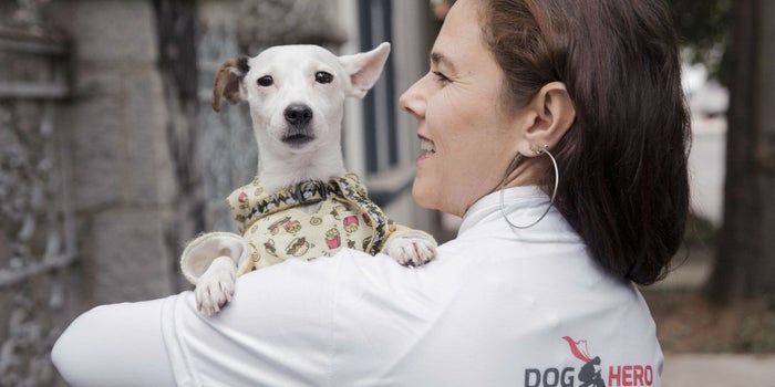 Estos brasileños construyeron el Airbnb para perros y ahora quieren conquistar México