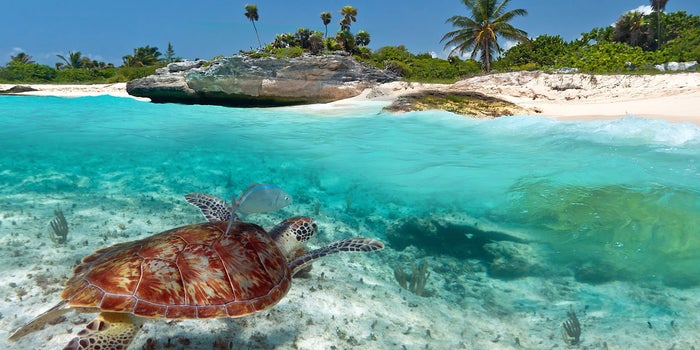 Viaja por las mejores playas de México y gana 185 mil pesos