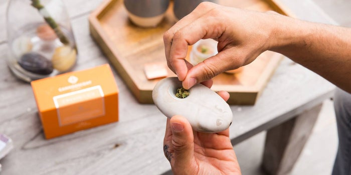 Is Canndescent Paving the Way For the Future of the Cannabis Industry?